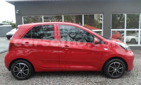 Acheter Occasion Voiture Kia Picanto Rouge à Maputsoa, Leribe Acheter Occasion Voiture Kia Picanto Rouge à Maputsoa, Leribe