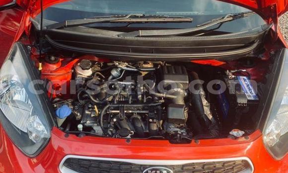 Acheter Occasion Voiture Kia Picanto Rouge à Maputsoa, Leribe Acheter Occasion Voiture Kia Picanto Rouge à Maputsoa, Leribe