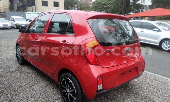 Acheter Occasion Voiture Kia Picanto Rouge à Maputsoa, Leribe Acheter Occasion Voiture Kia Picanto Rouge à Maputsoa, Leribe