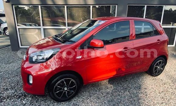 Acheter Occasion Voiture Kia Picanto Rouge à Maputsoa, Leribe Acheter Occasion Voiture Kia Picanto Rouge à Maputsoa, Leribe