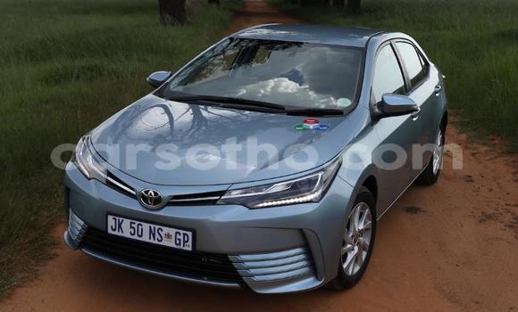 Acheter Occasion Voiture Toyota Corolla Bleu à Maputsoa, Leribe Acheter Occasion Voiture Toyota Corolla Bleu à Maputsoa, Leribe