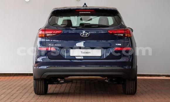 اشتري مستعمل Hyundai Tucson Blue سيارة في Maseru في Maseru اشتري مستعمل Hyundai Tucson Blue سيارة في Maseru في Maseru
