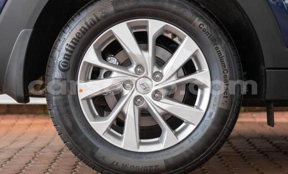 اشتري مستعمل Hyundai Tucson Blue سيارة في Maseru في Maseru اشتري مستعمل Hyundai Tucson Blue سيارة في Maseru في Maseru