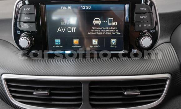 اشتري مستعمل Hyundai Tucson Blue سيارة في Maseru في Maseru اشتري مستعمل Hyundai Tucson Blue سيارة في Maseru في Maseru