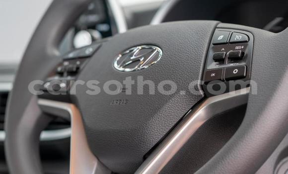 اشتري مستعمل Hyundai Tucson Blue سيارة في Maseru في Maseru اشتري مستعمل Hyundai Tucson Blue سيارة في Maseru في Maseru