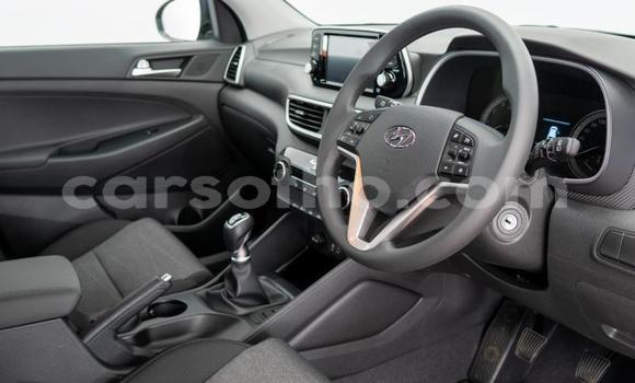 اشتري مستعمل Hyundai Tucson Blue سيارة في Maseru في Maseru اشتري مستعمل Hyundai Tucson Blue سيارة في Maseru في Maseru