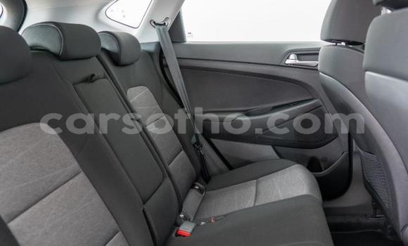 اشتري مستعمل Hyundai Tucson Blue سيارة في Maseru في Maseru اشتري مستعمل Hyundai Tucson Blue سيارة في Maseru في Maseru