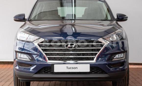اشتري مستعمل Hyundai Tucson Blue سيارة في Maseru في Maseru اشتري مستعمل Hyundai Tucson Blue سيارة في Maseru في Maseru