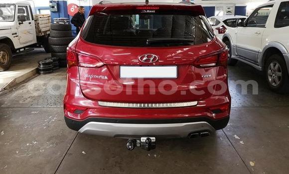 Sayi Na hannu Hyundai Santa Fe Red Mota in Maseru a Maseru Sayi Na hannu Hyundai Santa Fe Red Mota in Maseru a Maseru