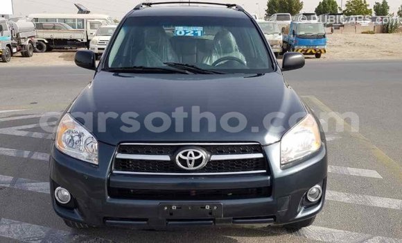 Buy Import Toyota RAV4 Green Car in Import - Dubai in Maseru Buy Import Toyota RAV4 Green Car in Import - Dubai in Maseru