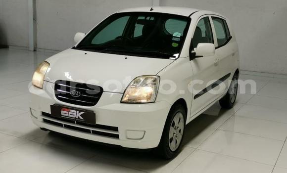 اشتري مستعمل Kia Picanto White سيارة في Hlotse في Leribe اشتري مستعمل Kia Picanto White سيارة في Hlotse في Leribe