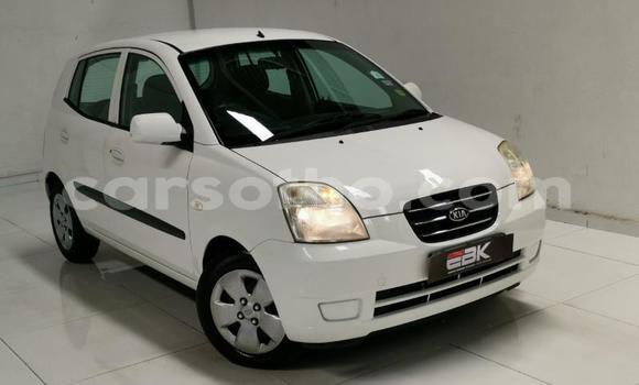 اشتري مستعمل Kia Picanto White سيارة في Hlotse في Leribe اشتري مستعمل Kia Picanto White سيارة في Hlotse في Leribe