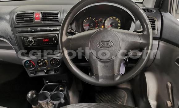 اشتري مستعمل Kia Picanto White سيارة في Hlotse في Leribe اشتري مستعمل Kia Picanto White سيارة في Hlotse في Leribe