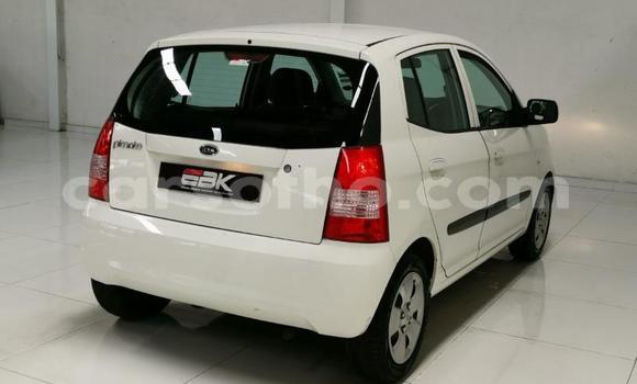 اشتري مستعمل Kia Picanto White سيارة في Hlotse في Leribe اشتري مستعمل Kia Picanto White سيارة في Hlotse في Leribe