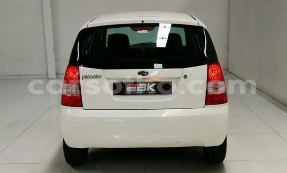 اشتري مستعمل Kia Picanto White سيارة في Hlotse في Leribe اشتري مستعمل Kia Picanto White سيارة في Hlotse في Leribe