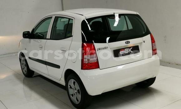 اشتري مستعمل Kia Picanto White سيارة في Hlotse في Leribe اشتري مستعمل Kia Picanto White سيارة في Hlotse في Leribe