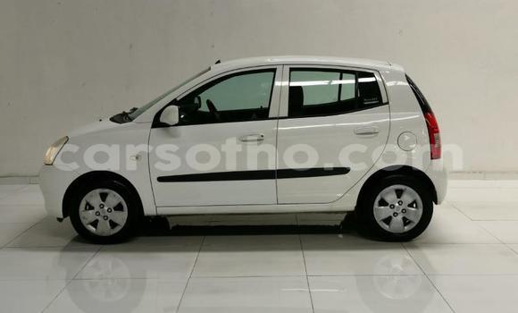 اشتري مستعمل Kia Picanto White سيارة في Hlotse في Leribe اشتري مستعمل Kia Picanto White سيارة في Hlotse في Leribe