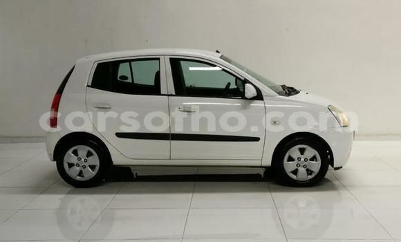 اشتري مستعمل Kia Picanto White سيارة في Hlotse في Leribe اشتري مستعمل Kia Picanto White سيارة في Hlotse في Leribe