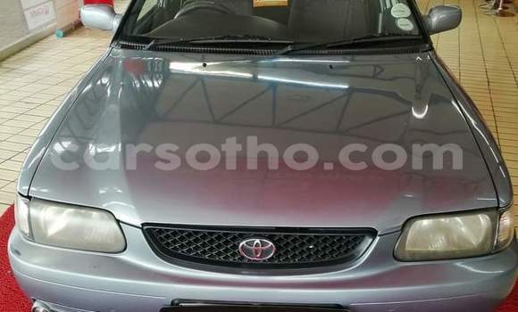 Acheter Occasion Voiture Toyota Corolla Gris à Maseru, Maseru Acheter Occasion Voiture Toyota Corolla Gris à Maseru, Maseru
