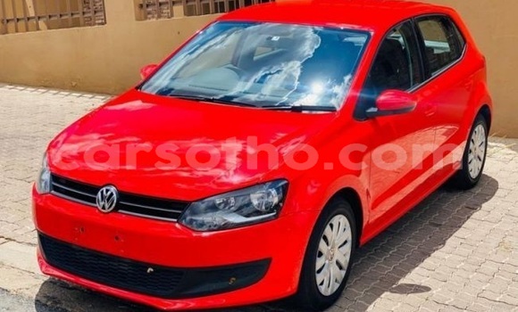 Buy Used Volkswagen Polo Red Car in Maseru in Maseru Buy Used Volkswagen Polo Red Car in Maseru in Maseru