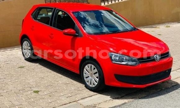 Buy Used Volkswagen Polo Red Car in Maseru in Maseru Buy Used Volkswagen Polo Red Car in Maseru in Maseru