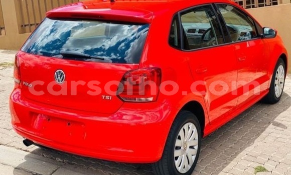 Buy Used Volkswagen Polo Red Car in Maseru in Maseru Buy Used Volkswagen Polo Red Car in Maseru in Maseru