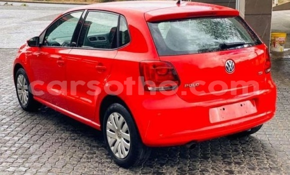 Buy Used Volkswagen Polo Red Car in Maseru in Maseru Buy Used Volkswagen Polo Red Car in Maseru in Maseru