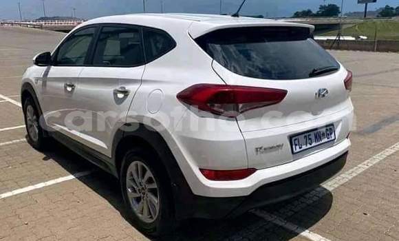 Buy Used Hyundai Tucson White Car in Maseru in Maseru Buy Used Hyundai Tucson White Car in Maseru in Maseru