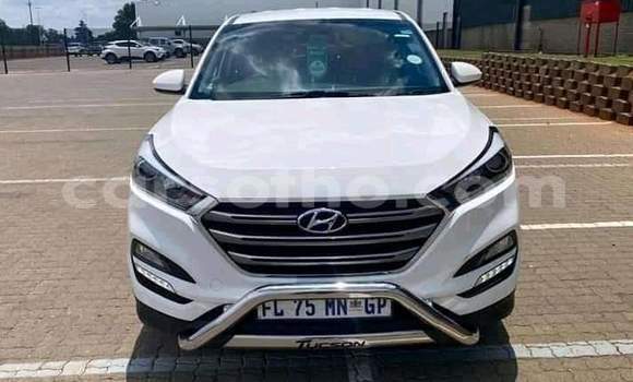 Buy Used Hyundai Tucson White Car in Maseru in Maseru Buy Used Hyundai Tucson White Car in Maseru in Maseru