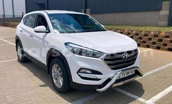 Buy Used Hyundai Tucson White Car in Maseru in Maseru Buy Used Hyundai Tucson White Car in Maseru in Maseru
