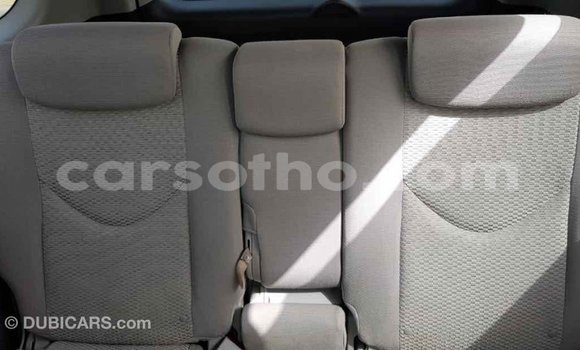 Buy Import Toyota RAV4 Other Car in Import - Dubai in Maseru Buy Import Toyota RAV4 Other Car in Import - Dubai in Maseru