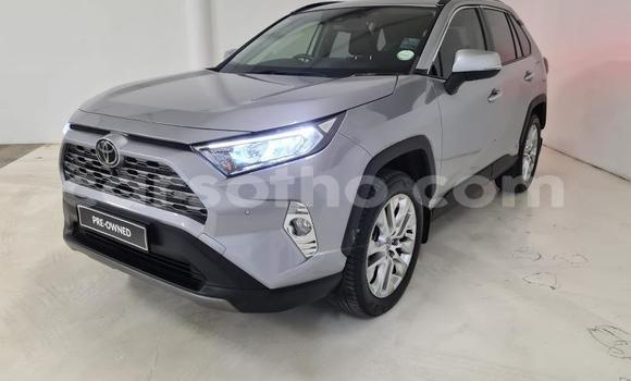 اشتري مستعمل Toyota RAV4 Beige سيارة في Butha–Buthe في Thaba-Tseka اشتري مستعمل Toyota RAV4 Beige سيارة في Butha–Buthe في Thaba-Tseka