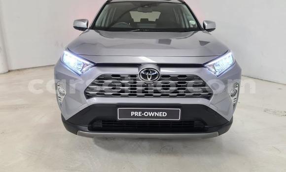 اشتري مستعمل Toyota RAV4 Beige سيارة في Butha–Buthe في Thaba-Tseka اشتري مستعمل Toyota RAV4 Beige سيارة في Butha–Buthe في Thaba-Tseka
