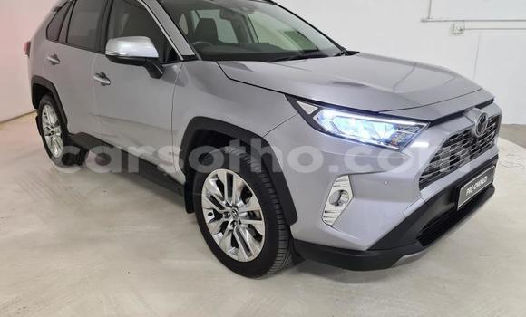 اشتري مستعمل Toyota RAV4 Beige سيارة في Butha–Buthe في Thaba-Tseka اشتري مستعمل Toyota RAV4 Beige سيارة في Butha–Buthe في Thaba-Tseka