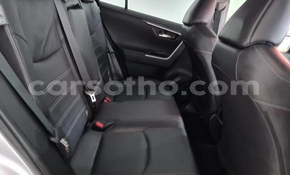 اشتري مستعمل Toyota RAV4 Beige سيارة في Butha–Buthe في Thaba-Tseka اشتري مستعمل Toyota RAV4 Beige سيارة في Butha–Buthe في Thaba-Tseka