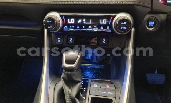اشتري مستعمل Toyota RAV4 Beige سيارة في Butha–Buthe في Thaba-Tseka اشتري مستعمل Toyota RAV4 Beige سيارة في Butha–Buthe في Thaba-Tseka