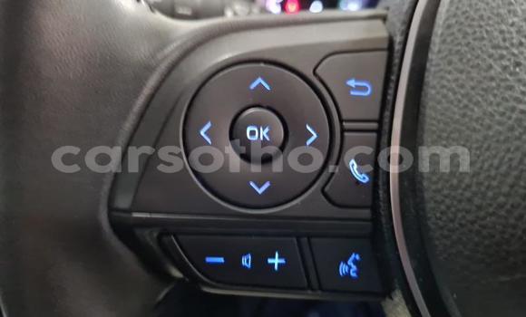 اشتري مستعمل Toyota RAV4 Beige سيارة في Butha–Buthe في Thaba-Tseka اشتري مستعمل Toyota RAV4 Beige سيارة في Butha–Buthe في Thaba-Tseka