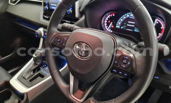 اشتري مستعمل Toyota RAV4 Beige سيارة في Butha–Buthe في Thaba-Tseka اشتري مستعمل Toyota RAV4 Beige سيارة في Butha–Buthe في Thaba-Tseka