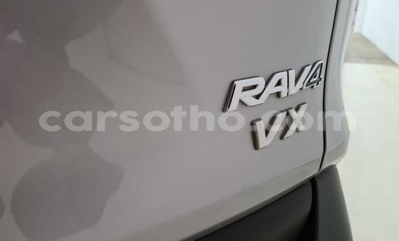 اشتري مستعمل Toyota RAV4 Beige سيارة في Butha–Buthe في Thaba-Tseka اشتري مستعمل Toyota RAV4 Beige سيارة في Butha–Buthe في Thaba-Tseka