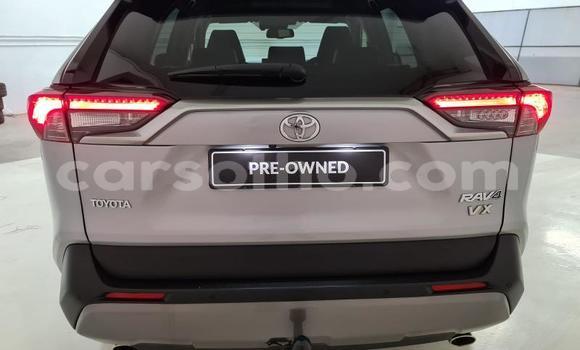 اشتري مستعمل Toyota RAV4 Beige سيارة في Butha–Buthe في Thaba-Tseka اشتري مستعمل Toyota RAV4 Beige سيارة في Butha–Buthe في Thaba-Tseka