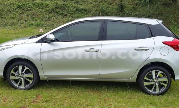 اشتري مستعمل Toyota Yaris Silver سيارة في Hlotse في Leribe اشتري مستعمل Toyota Yaris Silver سيارة في Hlotse في Leribe