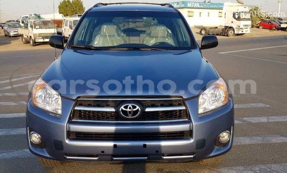 Buy Import Toyota RAV4 Blue Car in Import - Dubai in Maseru Buy Import Toyota RAV4 Blue Car in Import - Dubai in Maseru