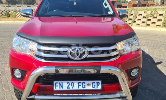 اشتري مستعمل Toyota Hilux Red سيارة في Mafeteng في Mafeteng اشتري مستعمل Toyota Hilux Red سيارة في Mafeteng في Mafeteng