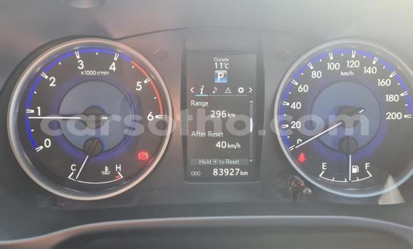 اشتري مستعمل Toyota Hilux Red سيارة في Mafeteng في Mafeteng اشتري مستعمل Toyota Hilux Red سيارة في Mafeteng في Mafeteng