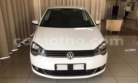 اشتري مستعمل Volkswagen Polo White سيارة في Mafeteng في Mafeteng اشتري مستعمل Volkswagen Polo White سيارة في Mafeteng في Mafeteng