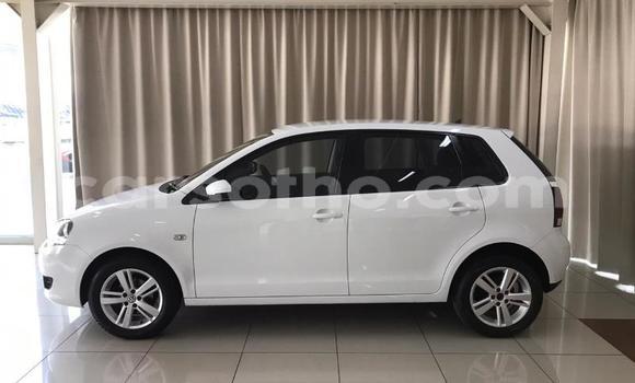 اشتري مستعمل Volkswagen Polo White سيارة في Mafeteng في Mafeteng اشتري مستعمل Volkswagen Polo White سيارة في Mafeteng في Mafeteng