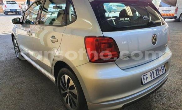اشتري مستعمل Volkswagen Polo Silver سيارة في Maseru في Maseru اشتري مستعمل Volkswagen Polo Silver سيارة في Maseru في Maseru