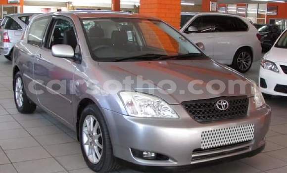 Acheter Occasion Voiture Toyota Runx Gris à Maseru, Maseru Acheter Occasion Voiture Toyota Runx Gris à Maseru, Maseru