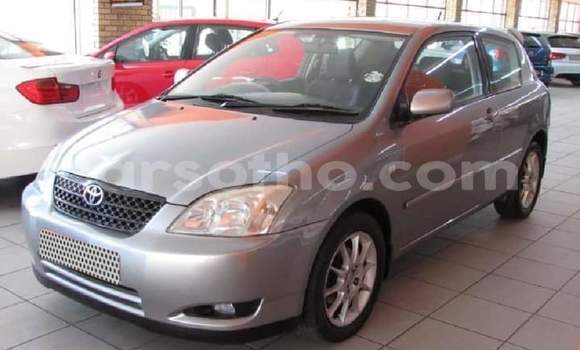 Acheter Occasion Voiture Toyota Runx Gris à Maseru, Maseru Acheter Occasion Voiture Toyota Runx Gris à Maseru, Maseru