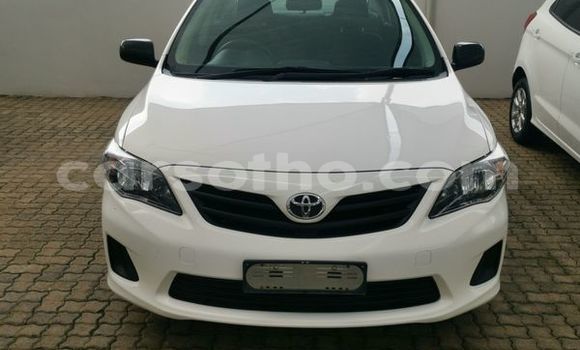 Buy Used Toyota Corolla White Car in Mohale's Hoek in Mohale's Hoek Buy Used Toyota Corolla White Car in Mohale's Hoek in Mohale's Hoek